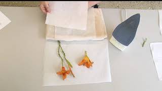 How to Press Flowers