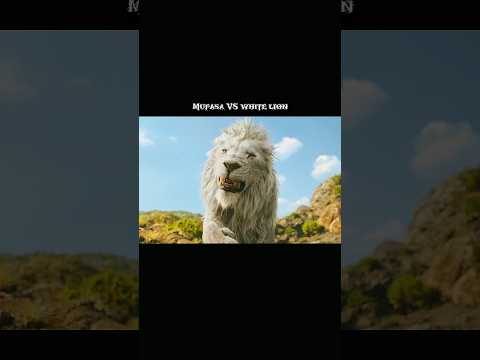 Mufasa vs white lion Fight scene || The lion king Mufasa #movieshort #mufasathelionking