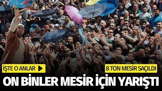 Manisa'da mesir festivali... Tonlarca mesir böyle saçıldı