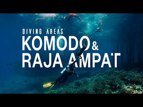 Diving in Raja Ampat & Komodo 4K | The best diving areas in 2022!