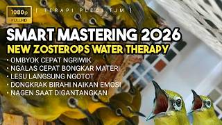 Download lagu 🔴 LIVE Smart Mastering, ZOSTEROPS WATER THERAPY, Terapi Pleci 2026   Pleci Betina mp3