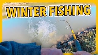 Carp and Catfishing during the Winter transition: tips and tactics