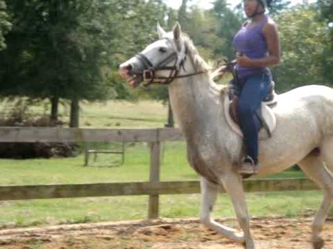 Lynelle riding JayJay