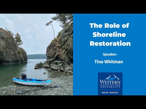 The Role of Shoreline Restoration in Marine Ecosystem Recovery: Lessons from the San Juan Islands