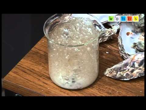 Free Range Chemistry (2008): Calcium - Lime Stone & Shells