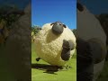 How Far Can A Sheep Throw A Welly Championsheeps Shorts Shaunthesheep Sports