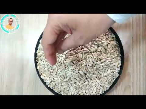 Sunflower Seeds Helianthus Annuus