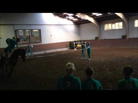 Turnier Pr. Ströhen 08.11.2014