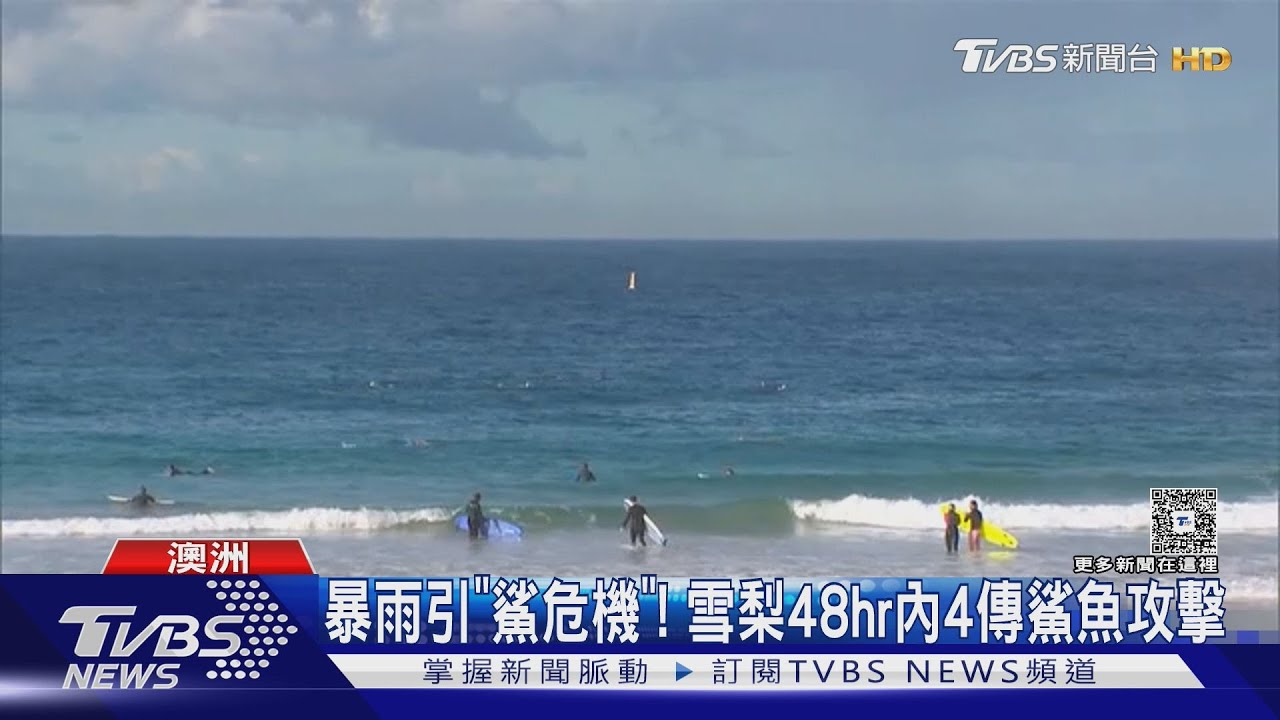 暴雨引發「鯊危機」! 雪梨48hr內4度鯊襲 8海灘緊急關閉