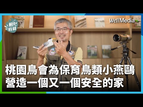 幫助珍貴稀有野生動物鳥類繁殖後代！桃園鳥會為二級保育鳥類小燕鷗 營造一個又一個安全的家【動心時刻】 桃園鳥會理事長 吳豫州 WellMedia