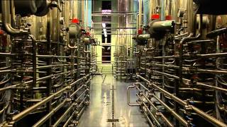 Great Wine from a Small country