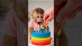 Download lagu KAGET MONYET NYA MARAH 😱😂🤣 #shorts #funny #comedy mp3