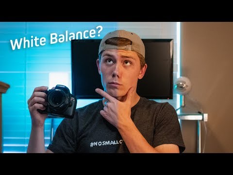 What Is WHITE BALANCE? - How To Use A DSLR/Mirrorless Camera