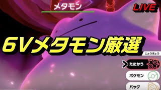 剣盾６Vメタモン厳選【ポケモン：ライブ】　#剣盾　#ライブ　#厳選