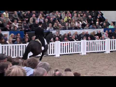 Franklin by Ampére/Ferro - open house 2018