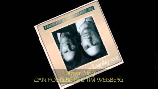 Dan Fogelberg & Tim Weisberg - FOREVER JUNG