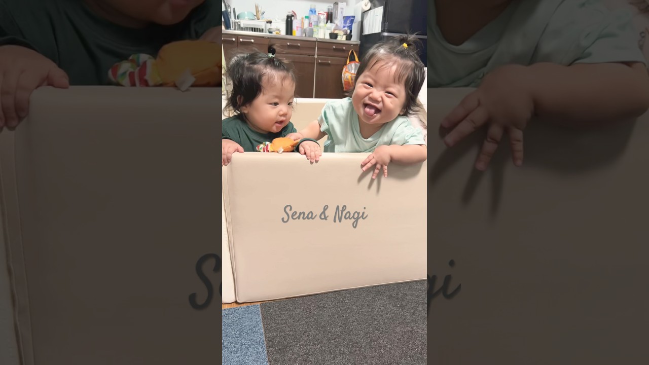 2024.11.2 双子の日常