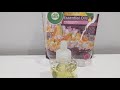 Airwick White Flowers And Melon Plug In