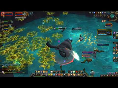 Temple of Sethraliss Mythic +15 Score +1 FORTIFIED BOLSTERING SKITTISH BEGUILING  3xSkip prot pala