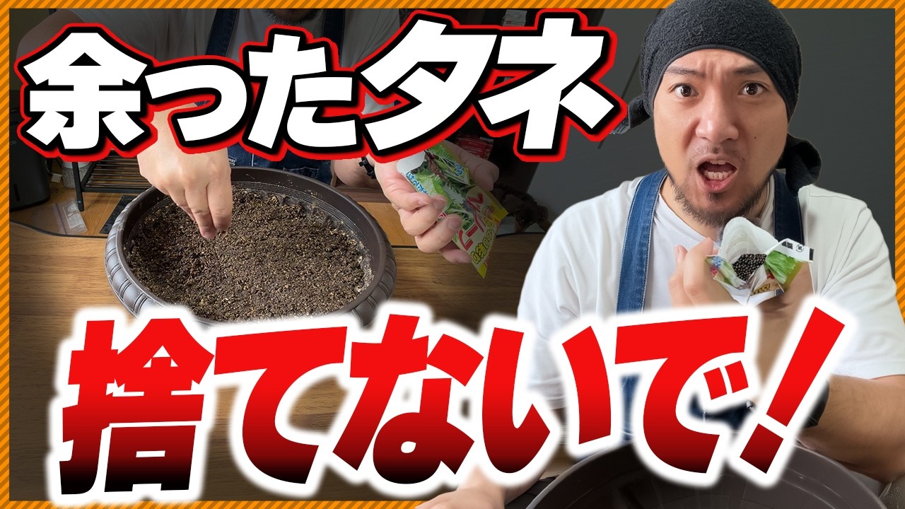 【農家直伝】余った種の保管方法、それ間違ってます!?発芽率が変わる保存のコツ