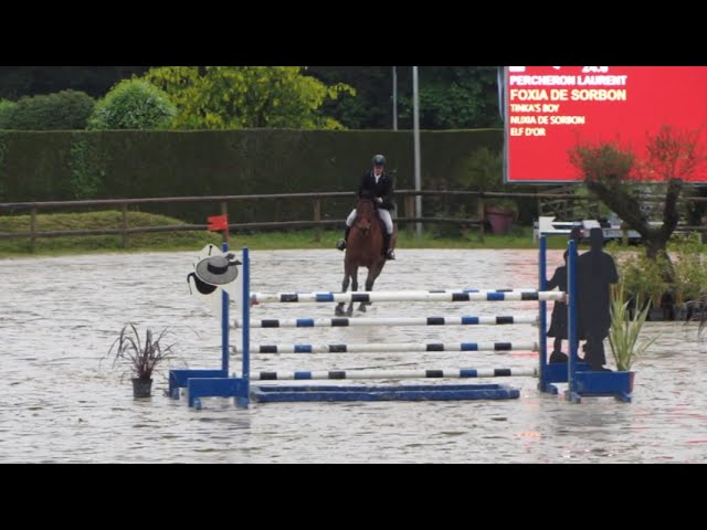 Jument CSO 10 ans beau modèle