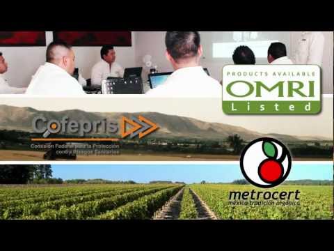 Piretrina donde comprar Piretrina donde comprar