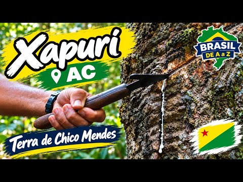 Xapuri (AC): Conheça essa cidade importante do Acre, marcada pela extração da borracha.
