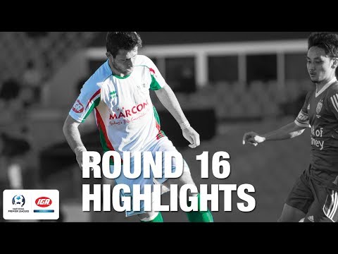 IGA NPL NSW Mens 1 - Round 16 Highlights