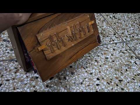 Indian Shruti Box 13 Notes 1 Octave Teak Wood 440Hz Drone Instrument with Bag image 13