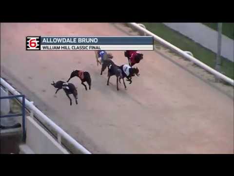 2018 WILLIAM HILL CLASSIC FINAL - T6 ALLOWDALE BRUNO
