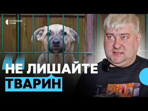 Собаки, коти та гризуни: як працює сумський притулок «DIMPETS» під час війни