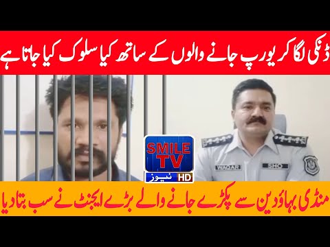 What is the treatment of those who go to Europe with a sting? | SMILE TV NEWS LIGHT