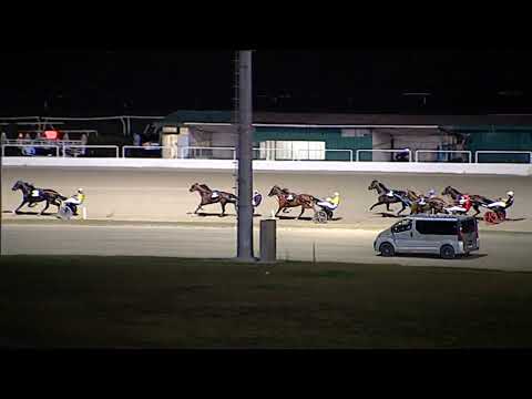 Napoli Trotto 18/08/2023 - 6ª corsa