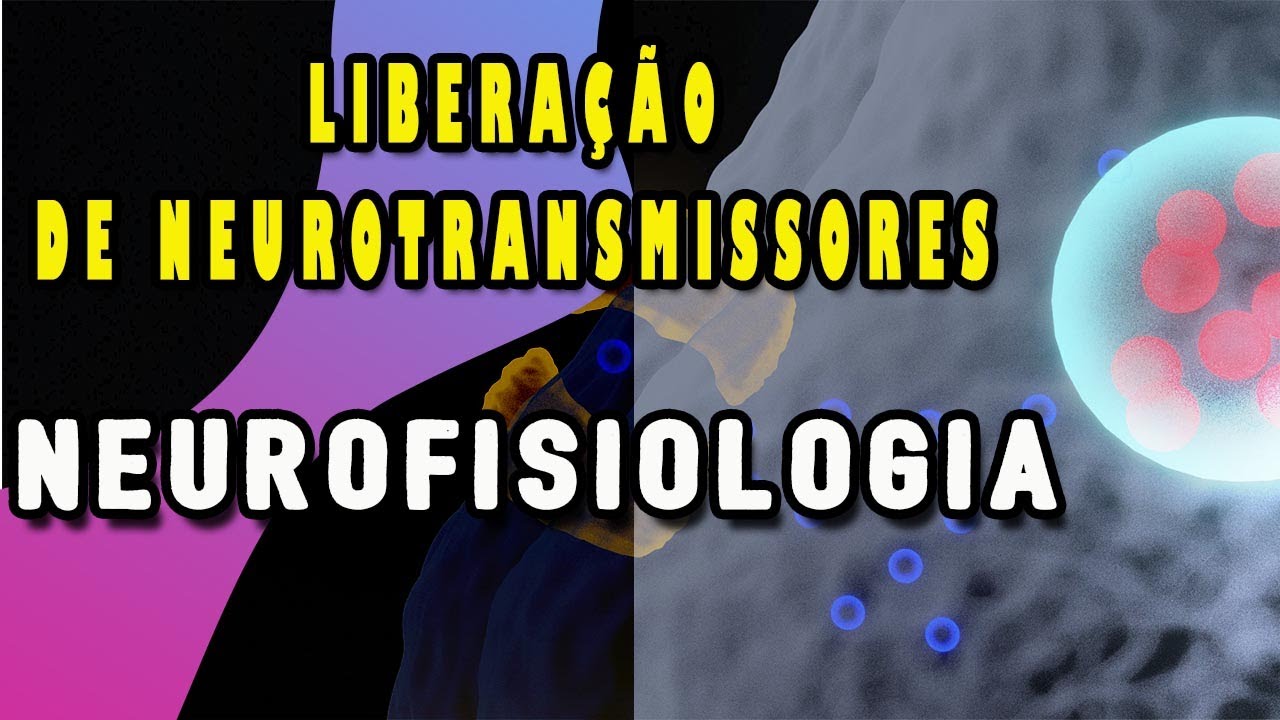 Liberação dos Neurotransmissores