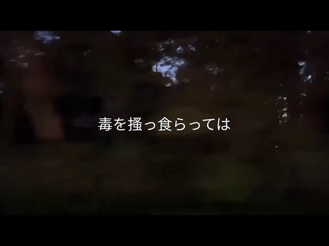 [No.14]死性観