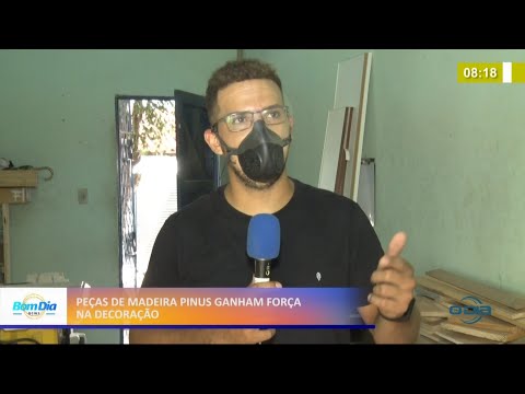 Peças de madeira Pinus ganham força na decoração de forma sustentável 01 04 2021