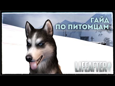 Гайд по питомцам. LifeAfter EU.
