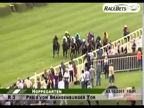 03.10.11.Hoppegarten.Preis Brandenburger Tor -TEMBO.