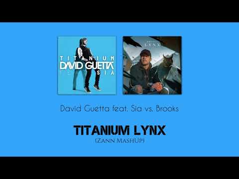 David Guetta feat. Sia vs. Brooks - Titanium Lynx (Zann MashUp) [OUT NOW] [PREVIEW]