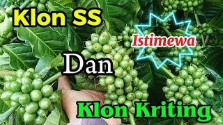Download lagu pesona klon SS dan klon Kriting mp3