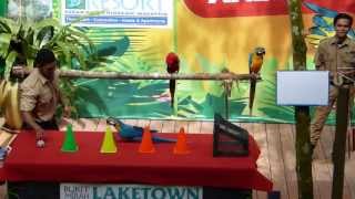Bukit Merah Laketown Resort Animal Show
