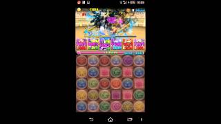 【パズドラ】チャレダンLv7 覚犬