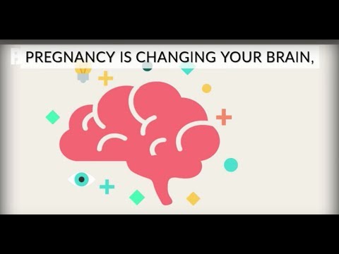 How Pregnancy Changes Your Brain