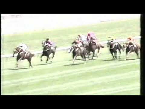 1991 Apollo Stakes - Triscay