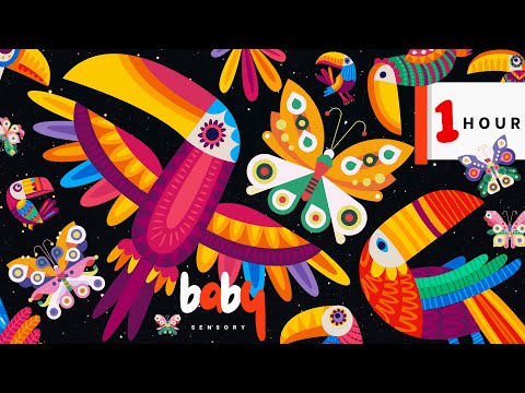 Mexikanische Baby-Sensory-Vögel + Schmetterlinge! Kontrastreiche Animation für Babys 👶