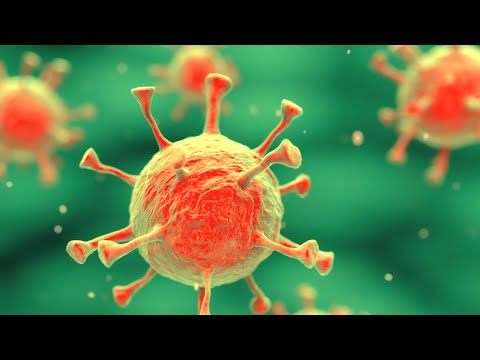 Q&A on the coronavirus vaccine trials