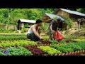 A Peaceful And Happy Scene At The Green Farm As Grandma And The CEO Working Together