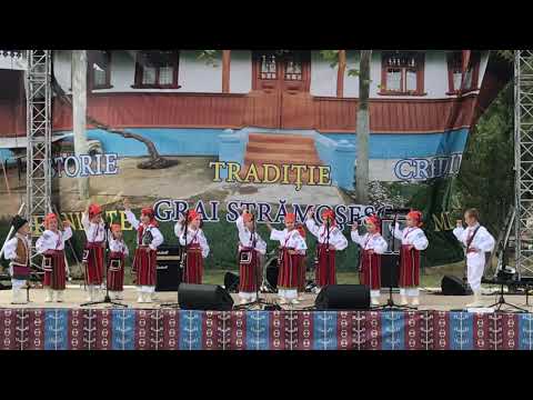 Lasă-mă mamă la joc, Ansamblul vocal ,,Speranţa"  s. Mereni