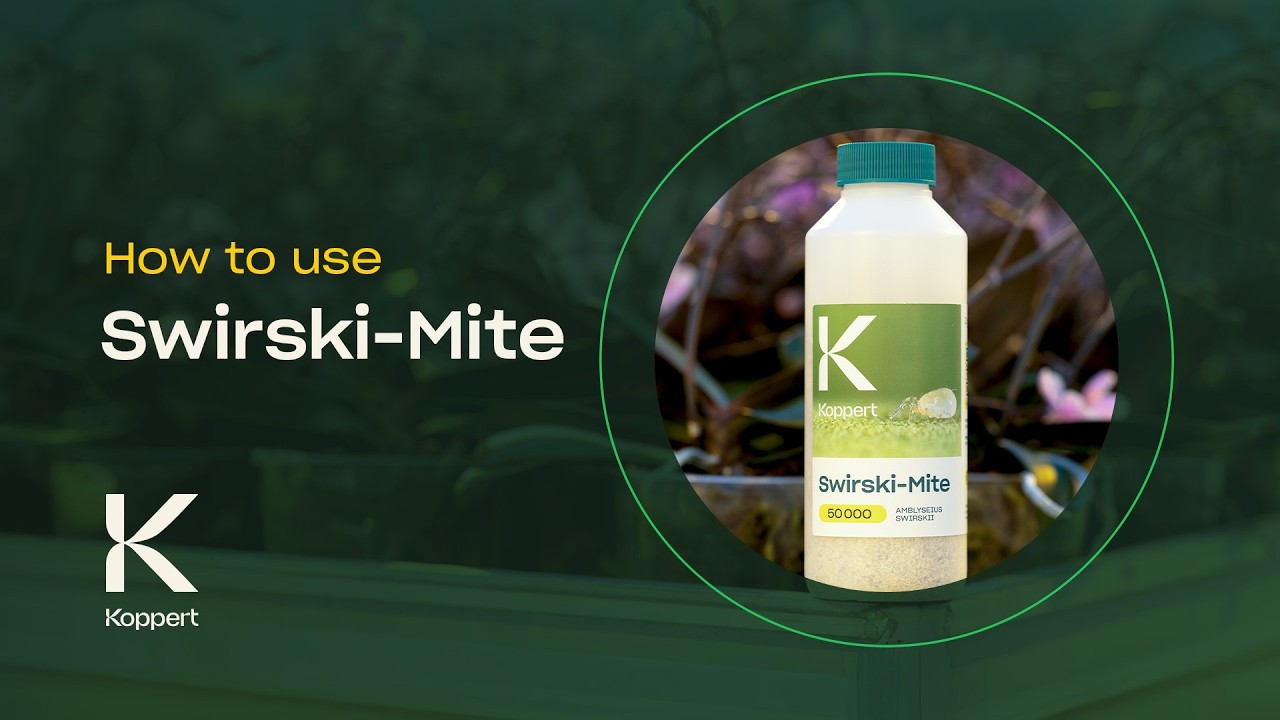 Video preview poster