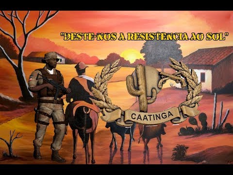 GUERREIROS DE CAATINGA || 【SERTÃO!!!🌵】